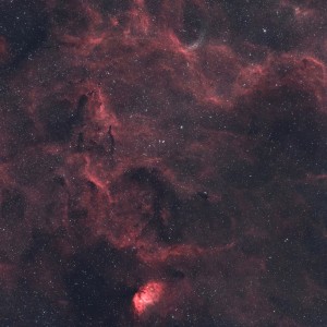 Tulip Nebula